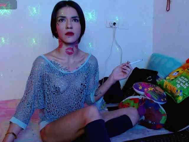 Modelo: BabyNova