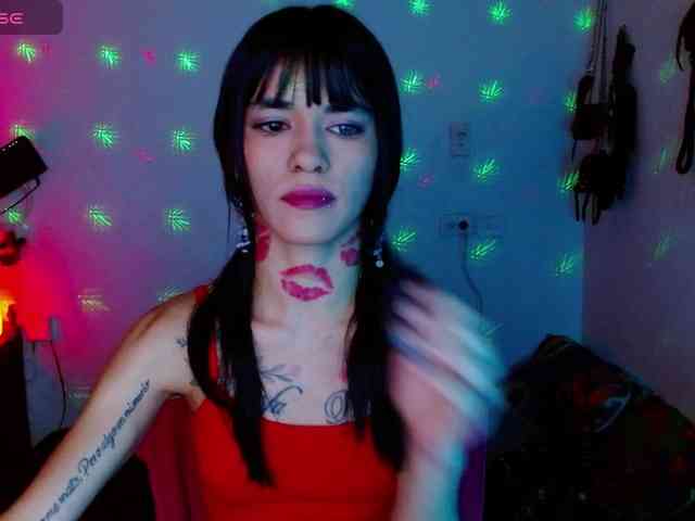 BabyNova webcam