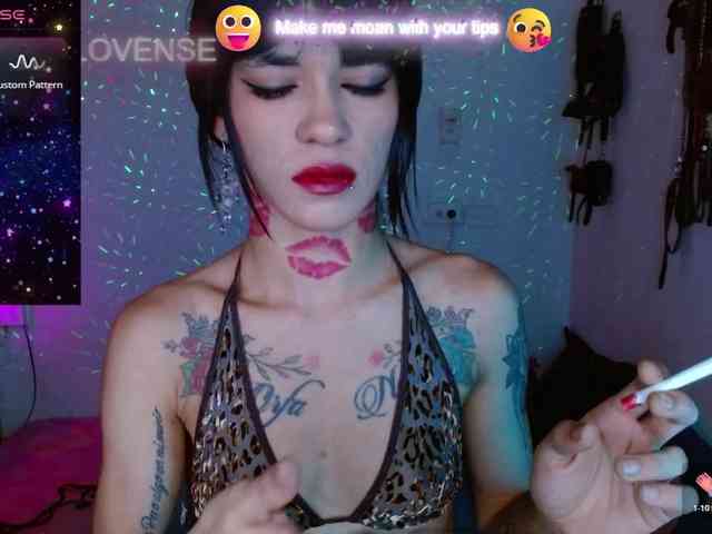 Modelo: BabyNova