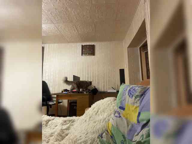 Letti28 webcam