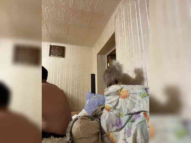 Letti28 webcam