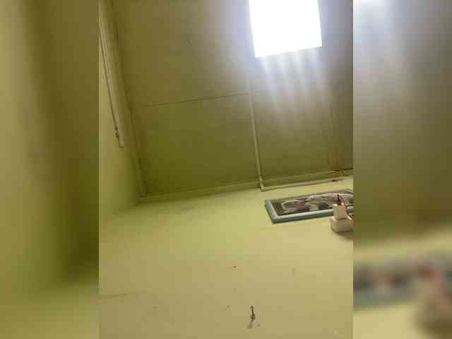 GumaLis13 webcam