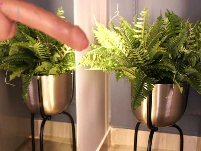 AylinMiller live cam on BongaCams