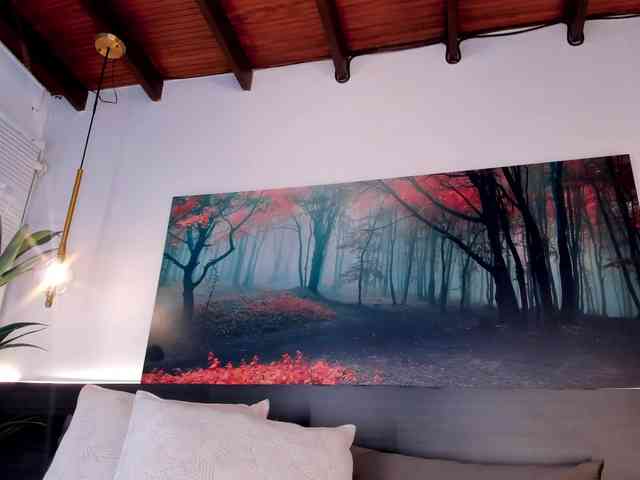 steffanybeck webcam