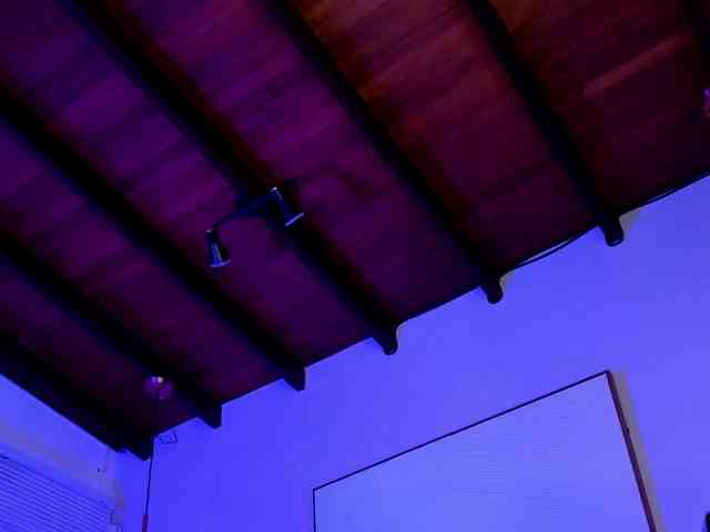 steffanybeck webcam