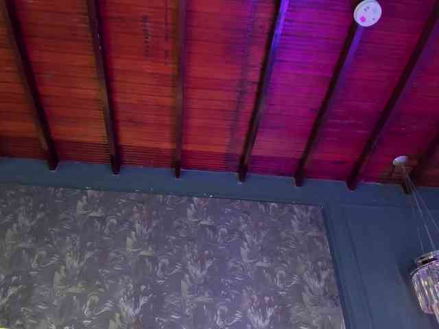 steffanybeck webcam