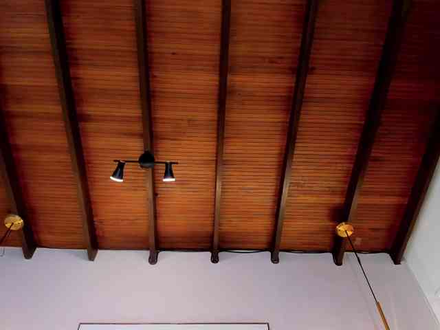 steffanybeck webcam