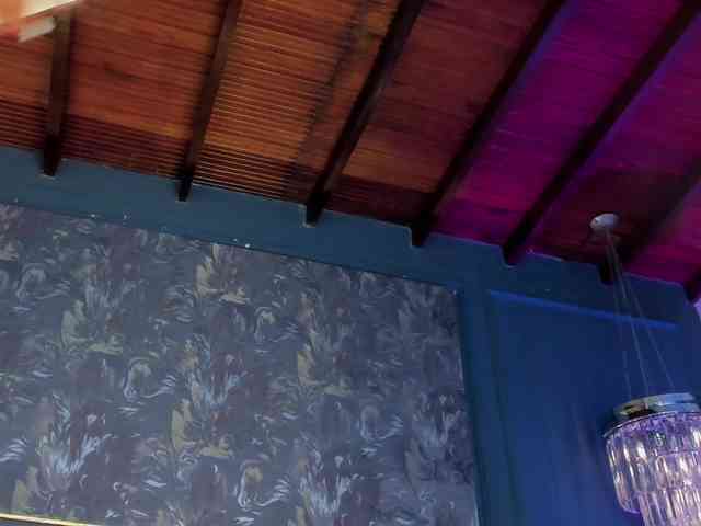 steffanybeck webcam