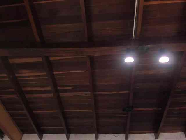 AgattaDuque webcam