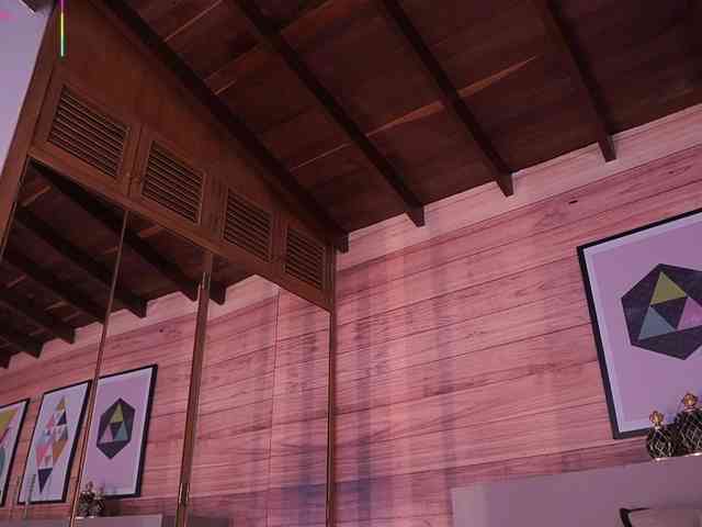 AriaFoster webcam