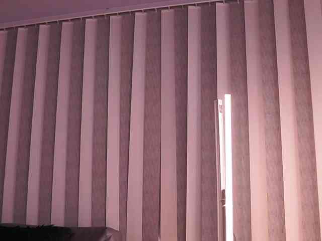 AriaFoster webcam
