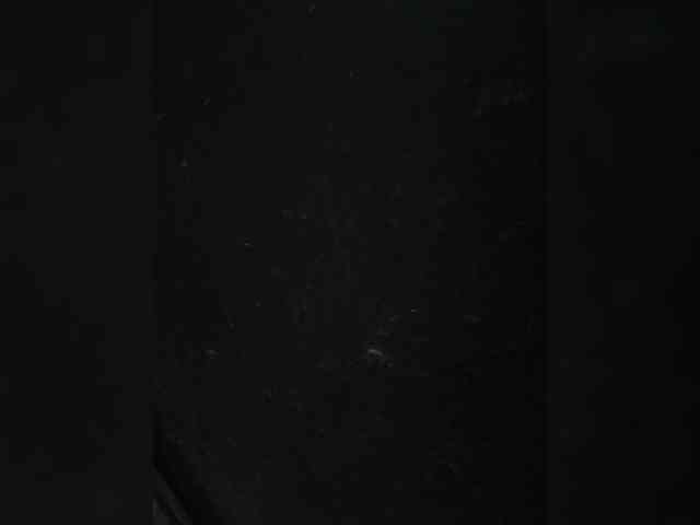 Neha0888 webcam