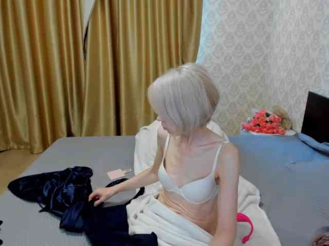 aminalive webcam