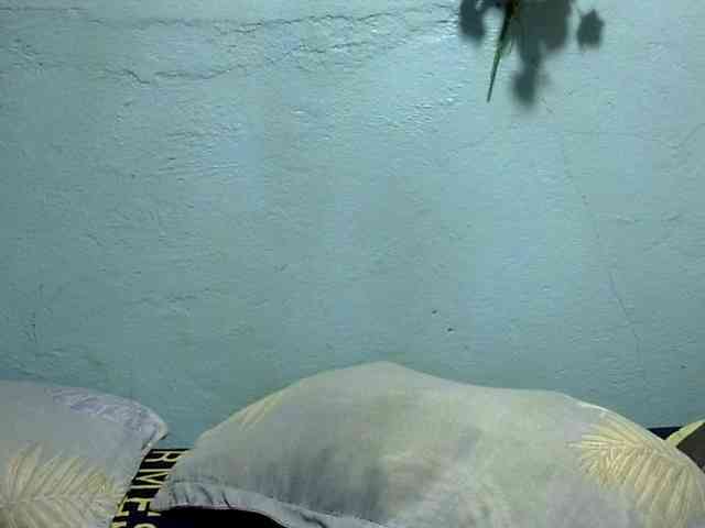 WildCumer025 Live Webcam on BongaCams