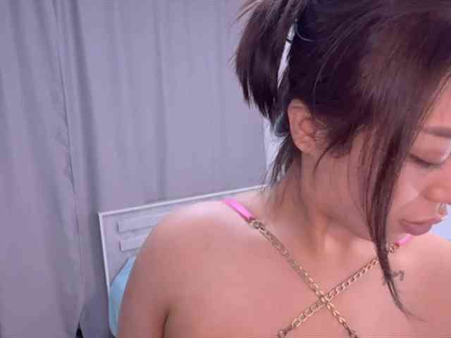 PurrrfectMiko webcam