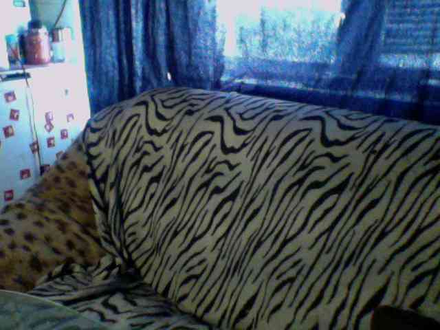 Pisya2354 webcam