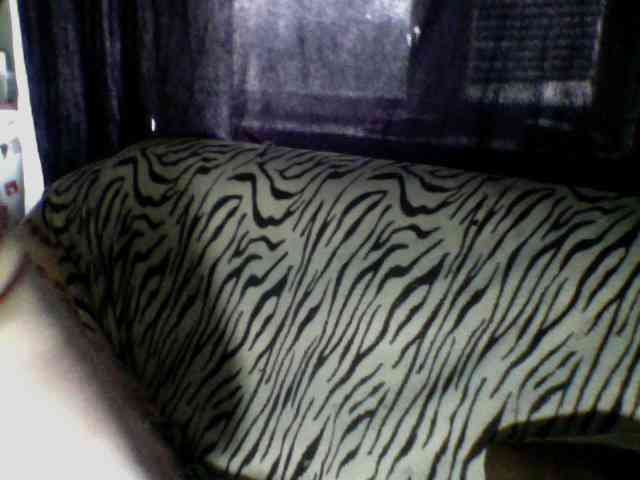 Pisya2354 webcam