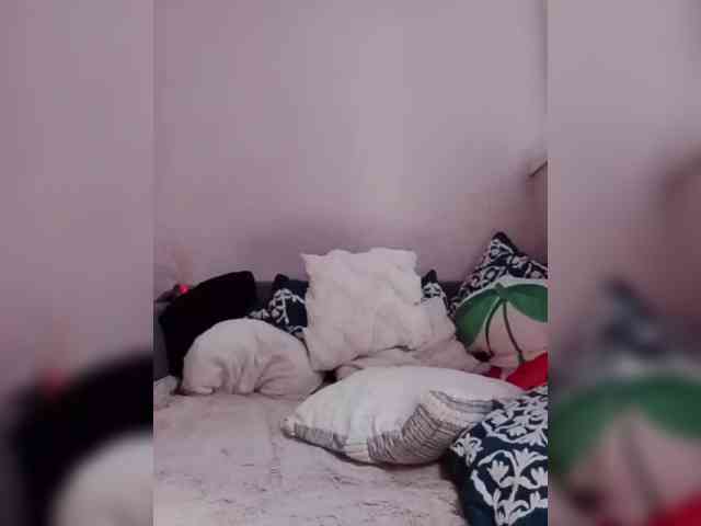 __Vi__ webcam