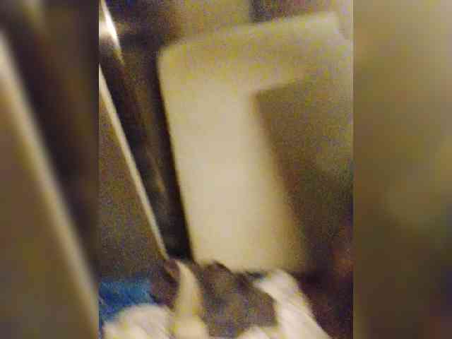 Laylay13 webcam