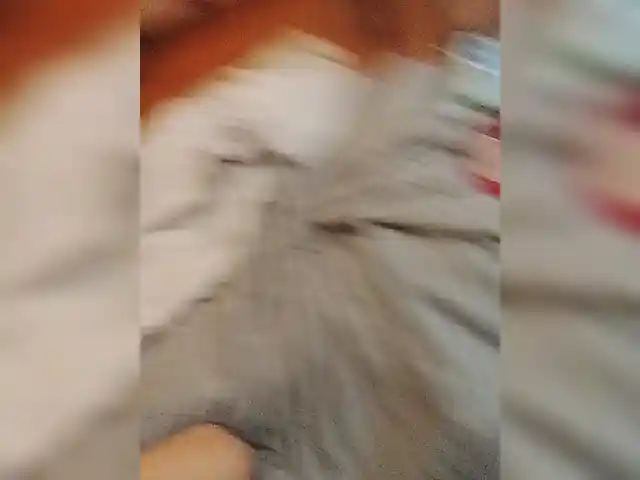 Laylay13