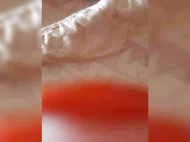 marinaWQ webcam