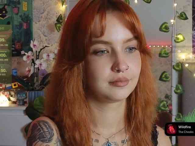 LisLy webcam