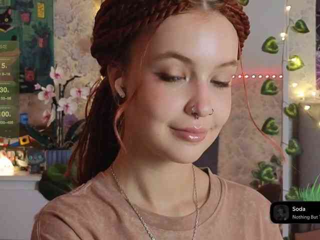 LisLy webcam