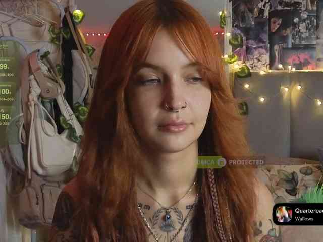 LisLy webcam