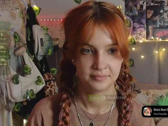 LisLy webcam