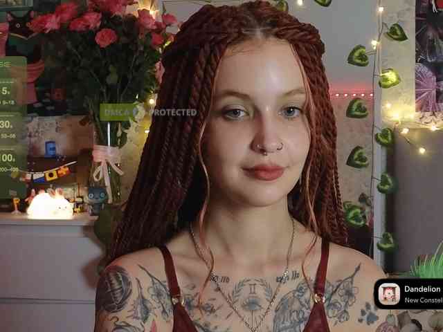 LisLy webcam