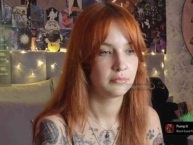 LisLy webcam