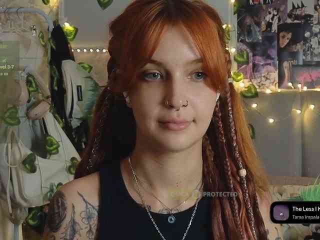 LisLy webcam