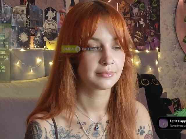 LisLy webcam