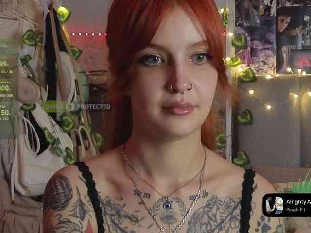 LisLy webcam