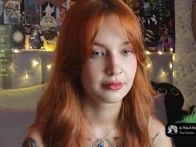 LisLy webcam