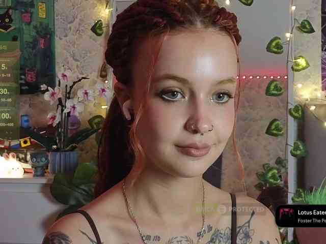 LisLy webcam
