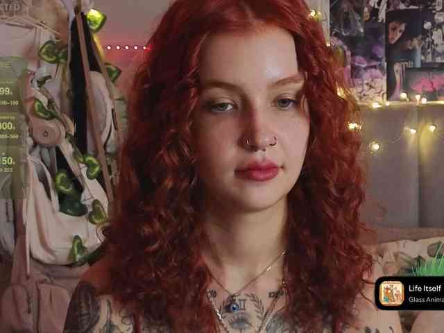 LisLy webcam