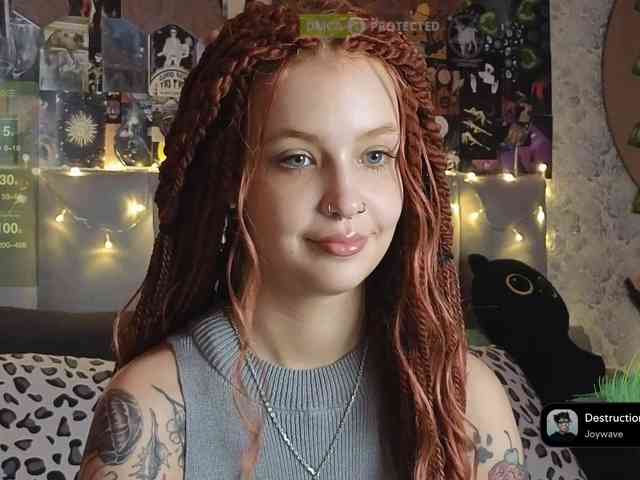 LisLy webcam