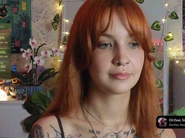 LisLy webcam