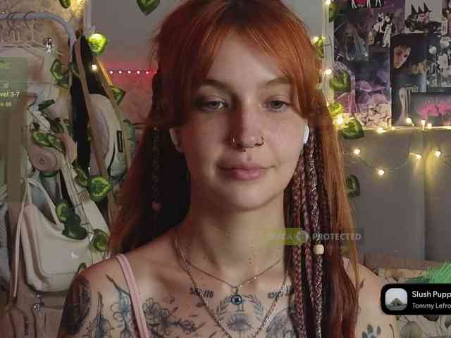 LisLy webcam