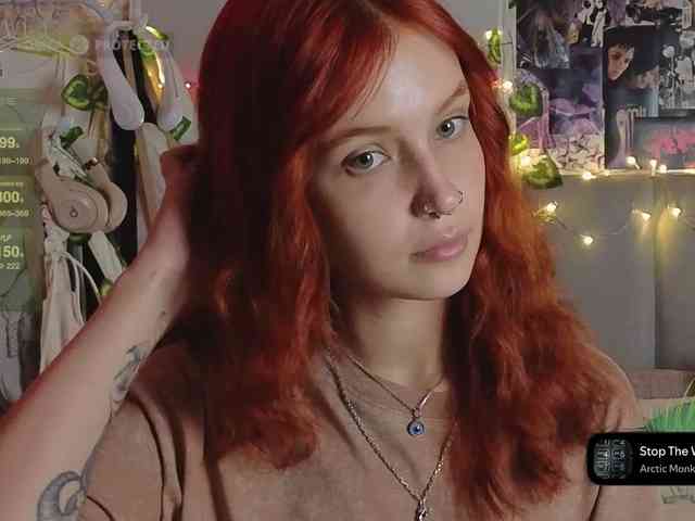 LisLy webcam