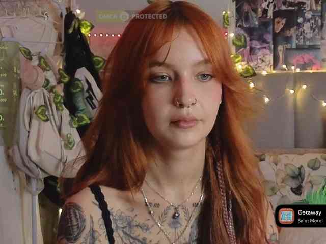 LisLy webcam