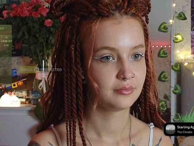LisLy webcam