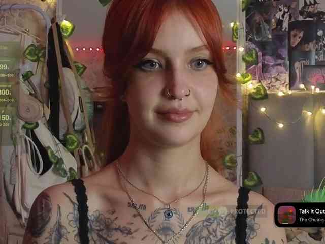 LisLy webcam