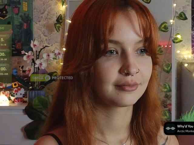 LisLy webcam