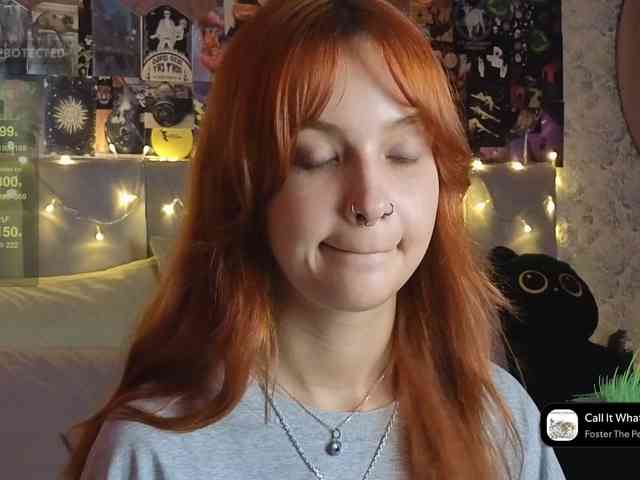 LisLy webcam