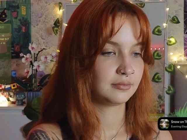 LisLy webcam