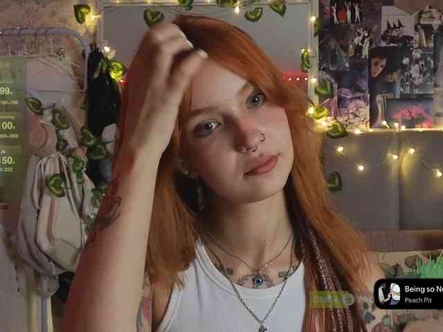 LisLy webcam
