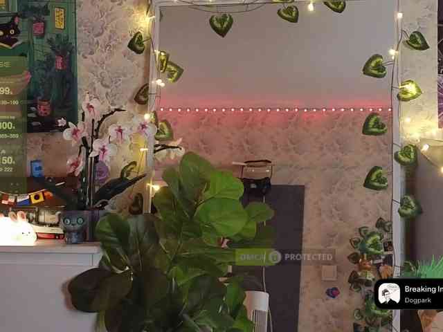 LisLy webcam
