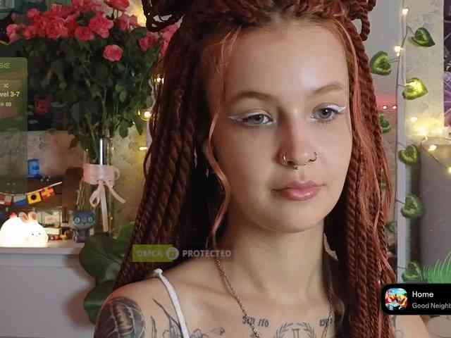 LisLy webcam